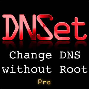 DNSet Pro 1.2