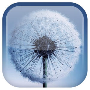 Dandelion Live Wallpaper 1.1.8