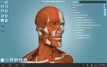 Anatomy 3D Pro - Anatronica