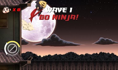 Go Ninja!