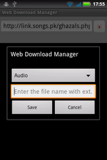 IDM: Internet Download Manager