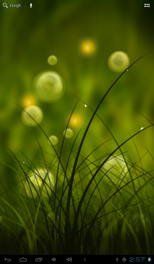 Colorful Summer Meadow