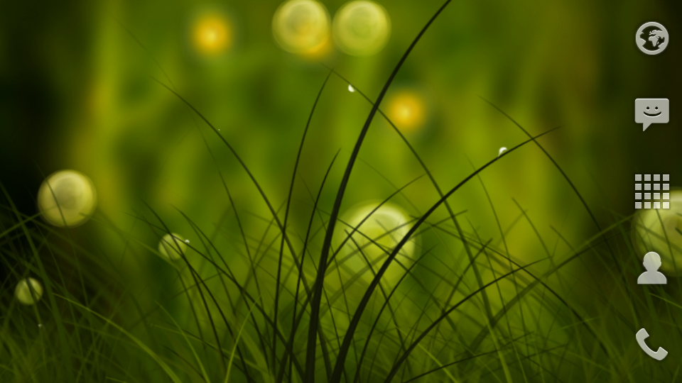 Colorful Summer Meadow