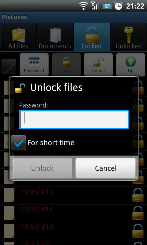 File Locker