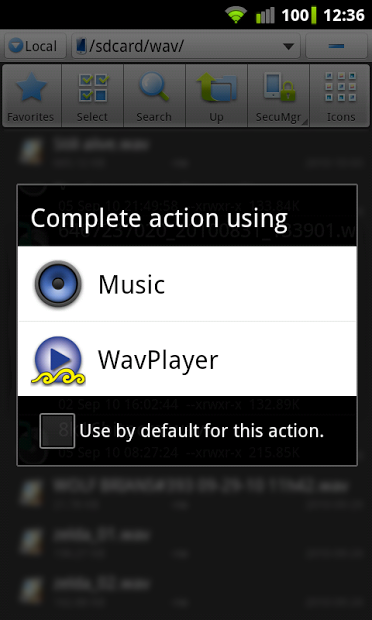 WavPlayer