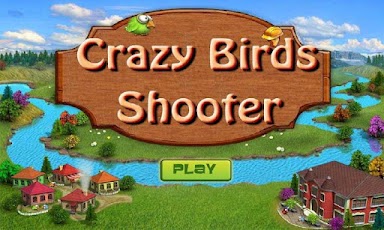 Crazy Birds Shooter