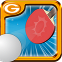 3D Ping Pong Master -Best FREE 12.05.08