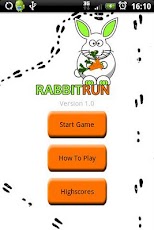 Rabbit Run