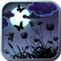 Night Nature HD 1.33