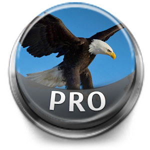 Bird Sounds & Ringtones Pro 1.0.1