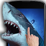 Shark Attack - Magic Touch 2.2