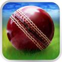 Cricket WorldCup Fever 3.8