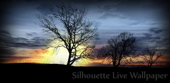 Silhouette Donation