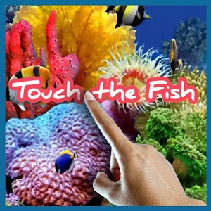 Touch the Fish Live Wallpaper 32