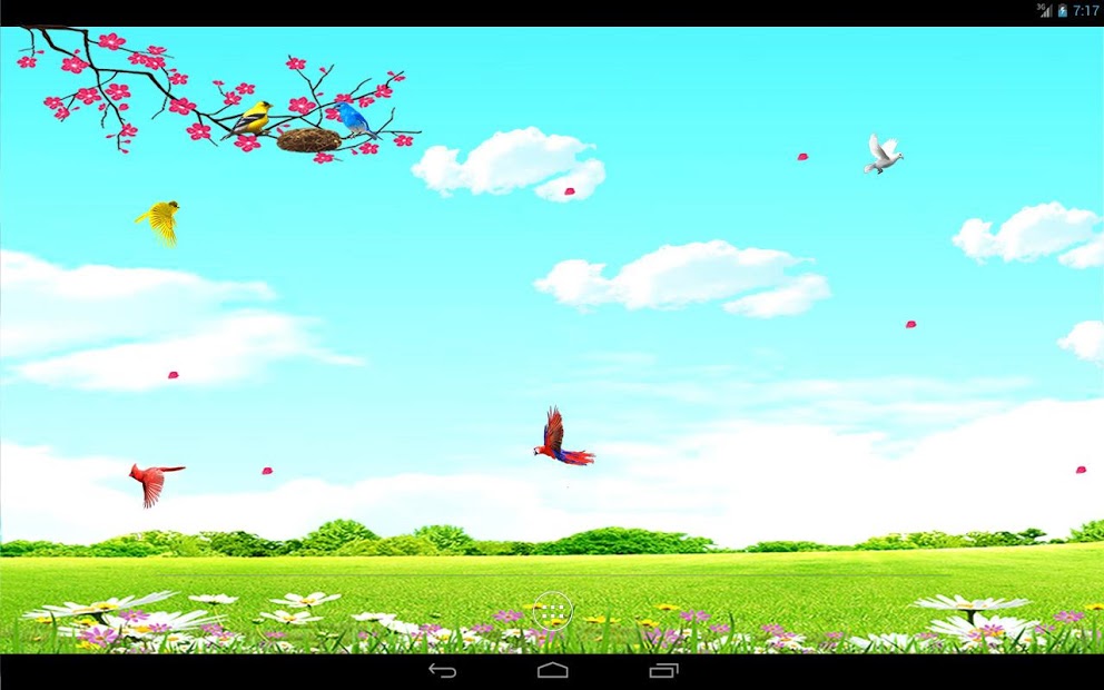 Sky Birds Live Wallpaper