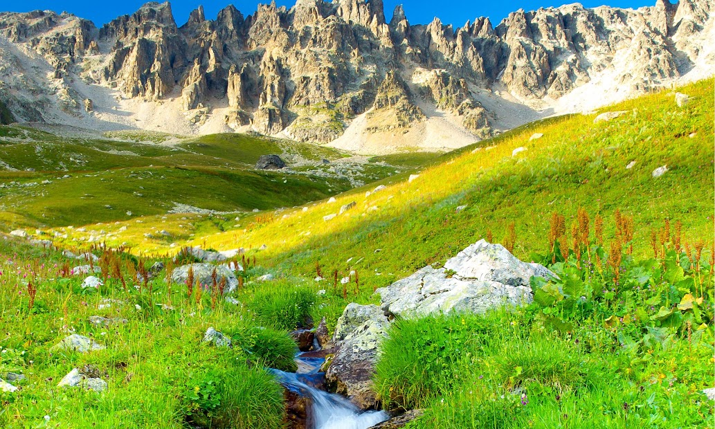 BEST NATURE LIVE WALLPAPER PRO