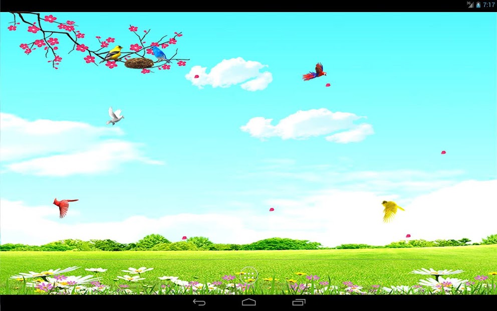 Sky Birds Live Wallpaper