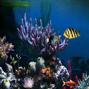 Aquarium 3d Live Wallpaper 1.0.5