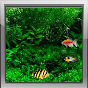 Fish Tank 3d Live Wallpaper