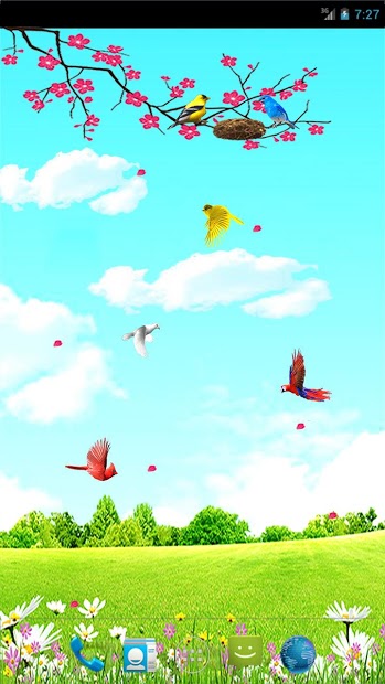 Sky Birds Live Wallpaper