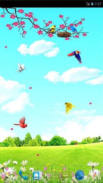 Sky Birds Live Wallpaper