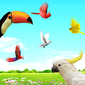 Sky Birds Live Wallpaper 2.1