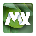 MXHome Theme Bug's life 1.3.4