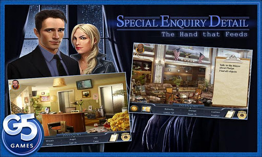 Special Enquiry Detail (Full/Unlocked)