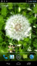 Dandelion Water S3 LWP