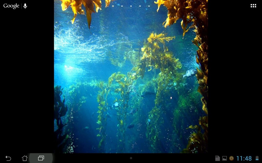 Under Water Scene HD