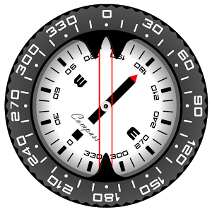 Compass PRO 7.48
