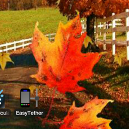 Autumn Leaves 2 Live Wallpaper 1.0