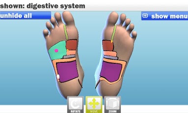 Foot Reflexology 3D