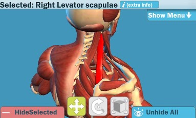 Easy Anatomy 3D(learn anatomy)