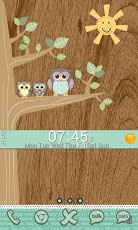 Go Launcher Themes: Hoot