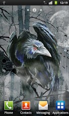 Raven on graveyard wallpaper
