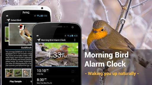 Morning Bird Alarm Clock