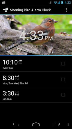 Morning Bird Alarm Clock