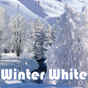 Winter White Live Wallpaper 1.0