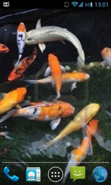 Magic Touch : Koi Fish