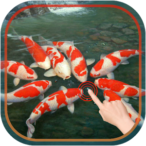 Magic Touch : Koi Fish 2.1.0