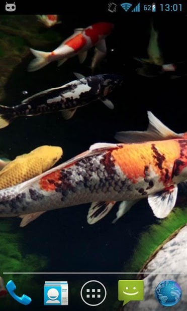 Magic Touch : Koi Fish