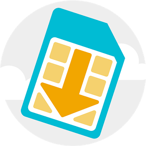 eSIM Manager A.1.0.17