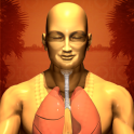 Universal Breathing: Pranayama 2.2.2