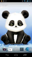 Panda Bobble Live Wallpaper