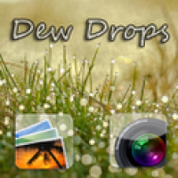 Dew Drops 1.0