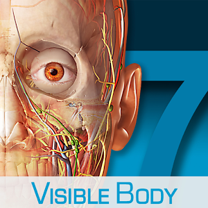 Human Anatomy Atlas 7.4.03