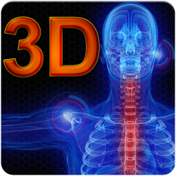 Anatomy 3D 1.3