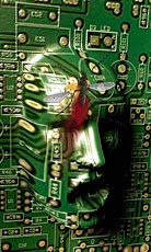 Circuit board