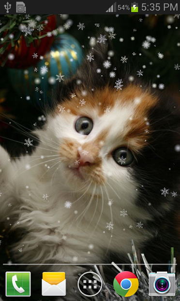 Christmas Cat Live Wallpaper